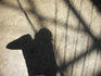 shadow.jpg