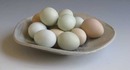 eggs-in-bowl.jpg