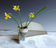 daffy-landscape2.jpg