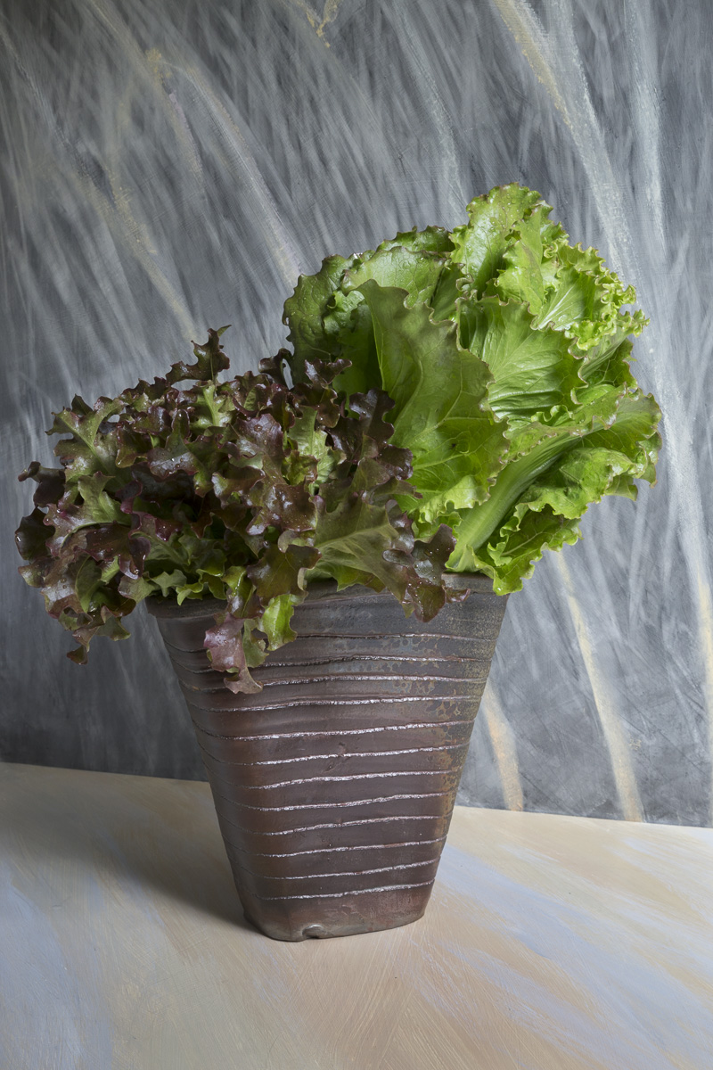 http://catherinewhite.com/rough-ideas/images/15-white-lettuce-2015.jpg