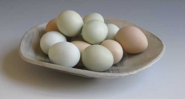 eggs-in-bowl.jpg