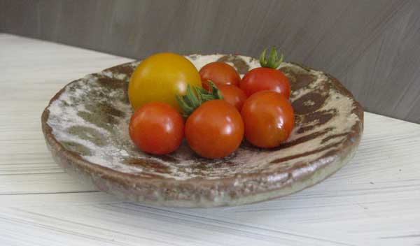 first-tomatoes-2010.jpg