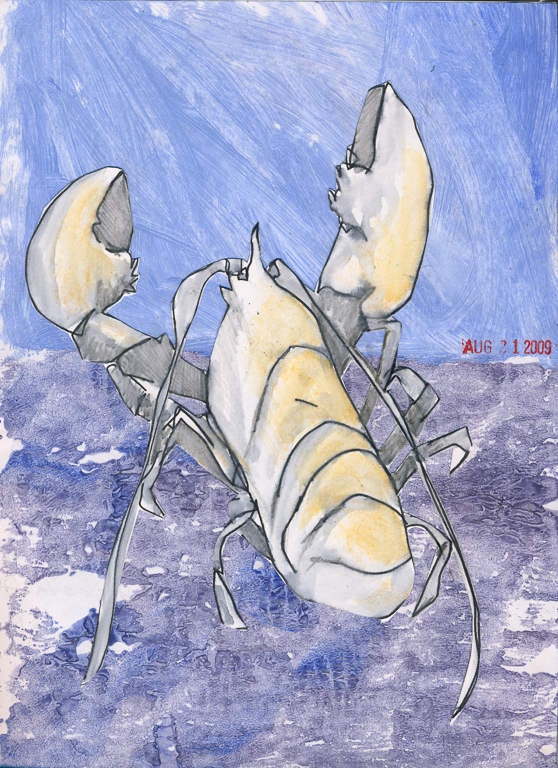 Lobster, 2009-I, 12" x 9"