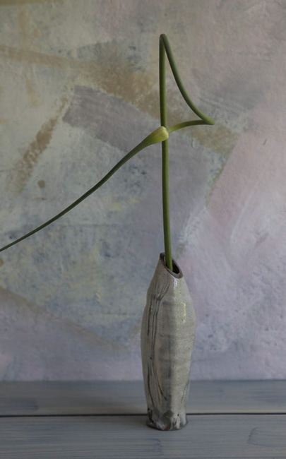 07-garlicscape.jpg