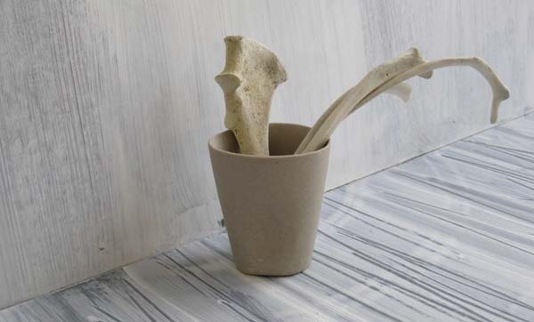 bone cup_2222.jpg